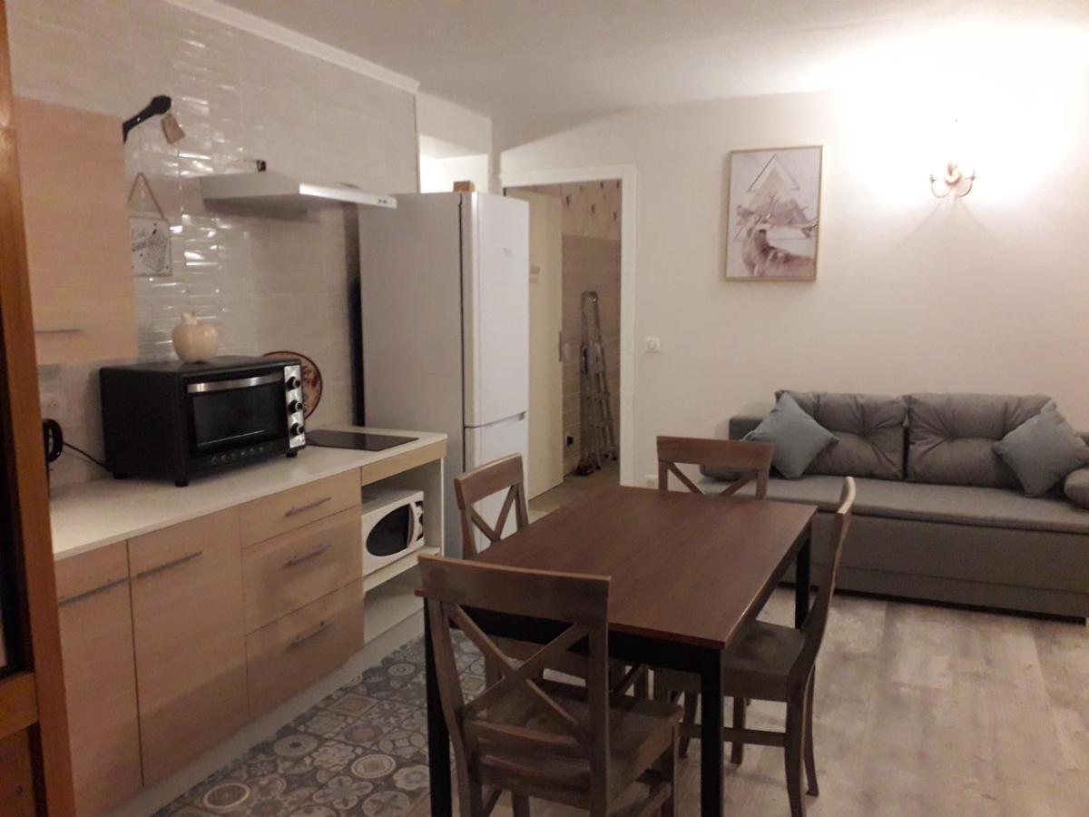 Enclos savoyard Appartement meublé 1chambre 1 canapé lits 3personnes Grand-Aigueblanche Exterior foto
