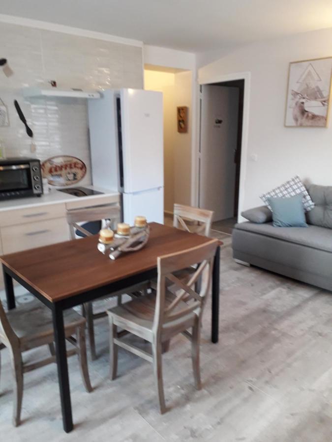 Enclos savoyard Appartement meublé 1chambre 1 canapé lits 3personnes Grand-Aigueblanche Exterior foto